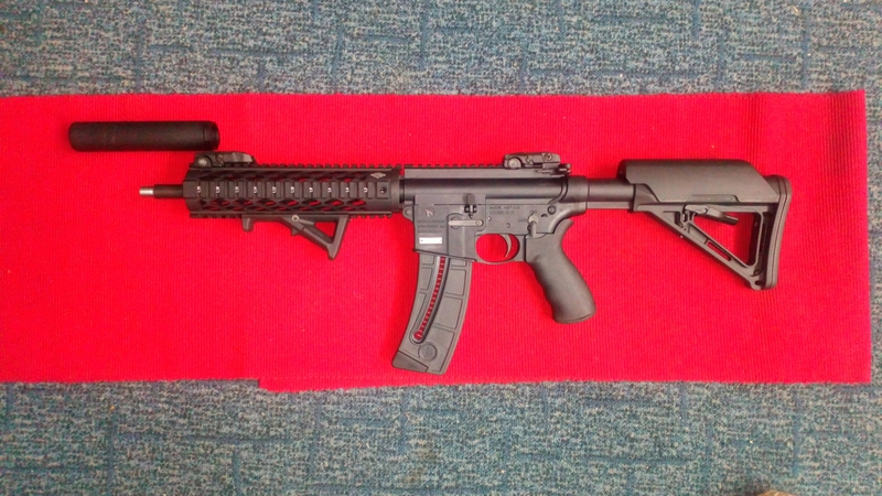 Smith & Wesson Custom M&P 1522 Custom Semi-Auto .22  Rifles