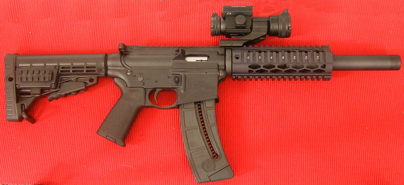 Smith & Wesson Custom M&P 1522 Custom Semi-Auto .22  Rifles