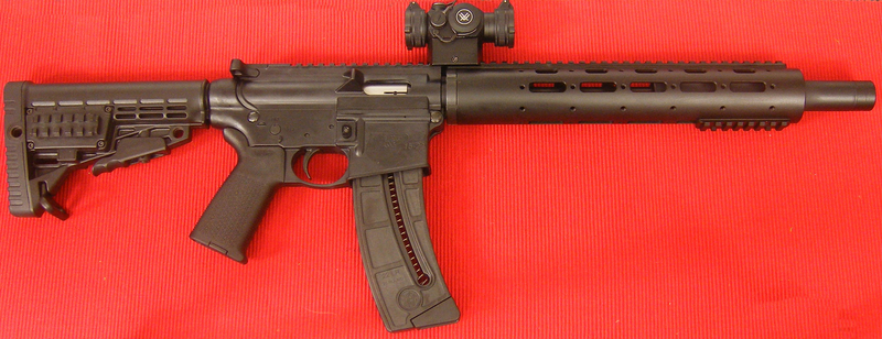 Smith & Wesson Custom M&P 1522 Custom Semi-Auto .22  Rifles
