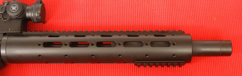Smith & Wesson Custom M&P 1522 Custom Semi-Auto .22  Rifles