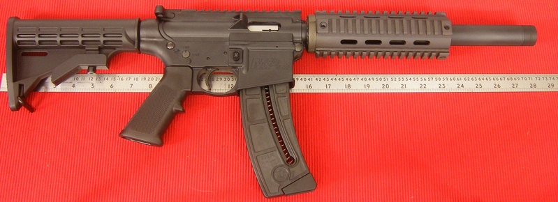 Smith & Wesson Custom M&P 1522 Custom Semi-Auto .22  Rifles