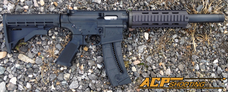 Smith & Wesson Custom M&P 1522 Custom Semi-Auto .22  Rifles