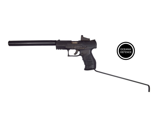 Walther PPQ .22  Long Barrel