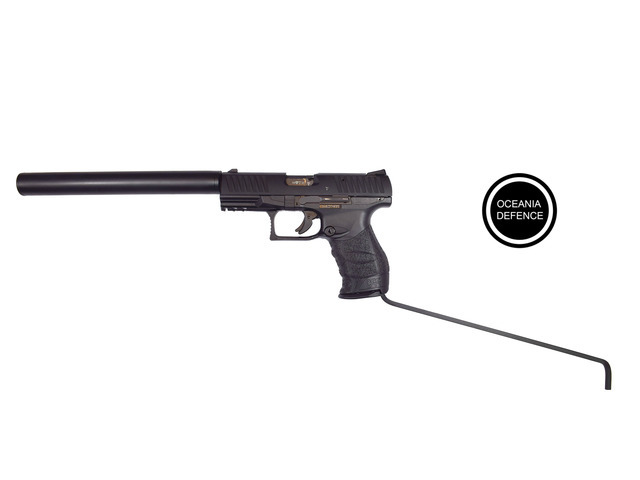 Walther PPQ .22  Long Barrel