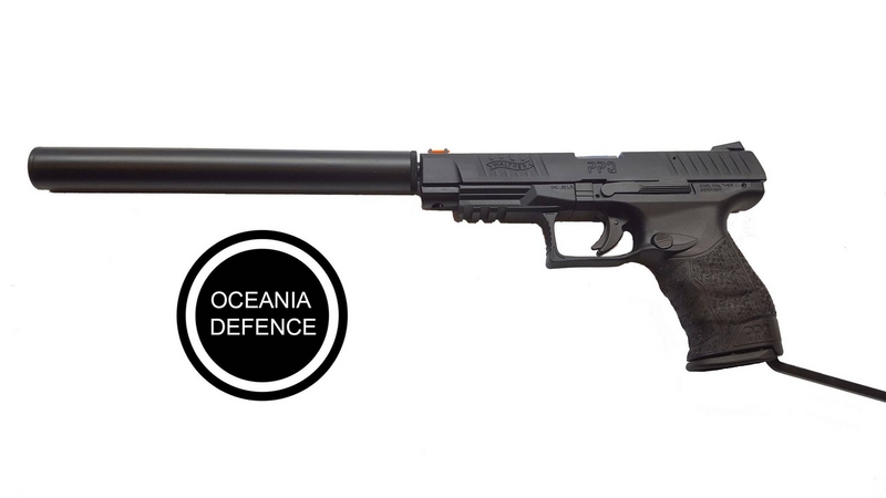 Walther PPQ .22  Long Barrel