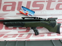 Daystate RENEGADE .22  Air Rifles