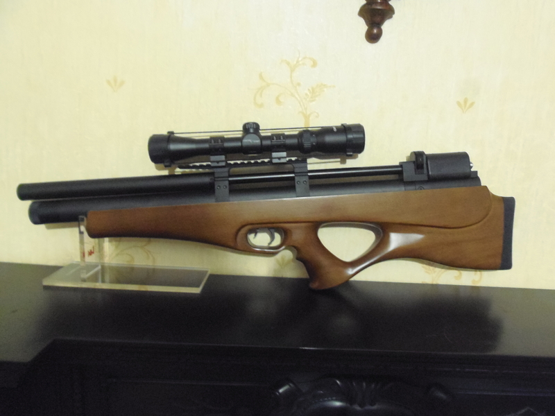 SMK - Sportsmarketing P10 .177  Air Rifles