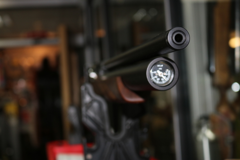 FX Airguns DREAMLINE CLASSIC .22 Air Rifles