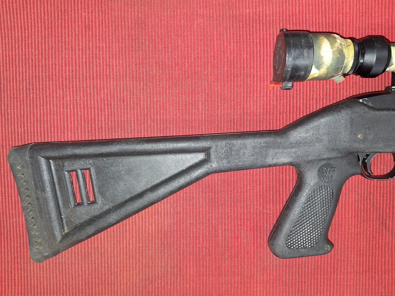 Ruger 10-22 DRAGONOV Semi-Auto .22  Rifles