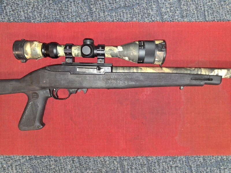 Ruger 10-22 DRAGONOV Semi-Auto .22  Rifles