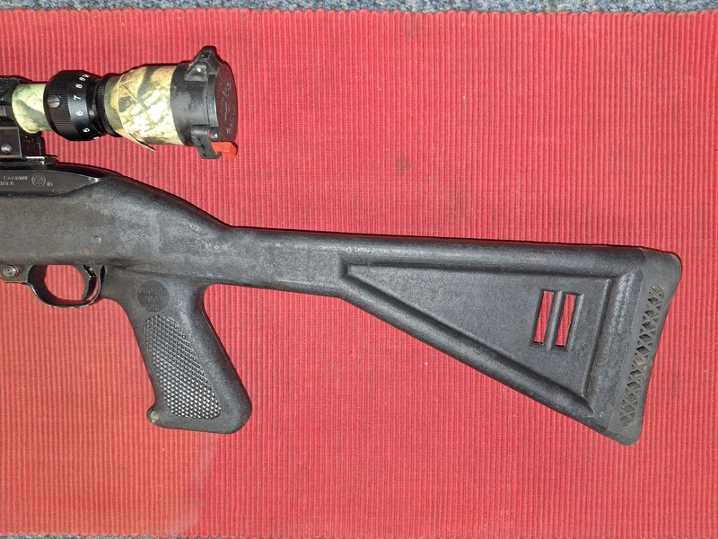 Ruger 10-22 DRAGONOV Semi-Auto .22  Rifles