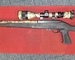 Ruger 10-22 DRAGONOV Semi-Auto .22  Rifles
