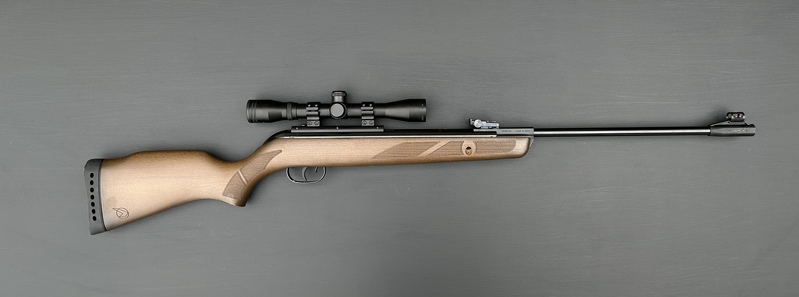 GAMO 440 Hunter .22 .177 Air Rifles
