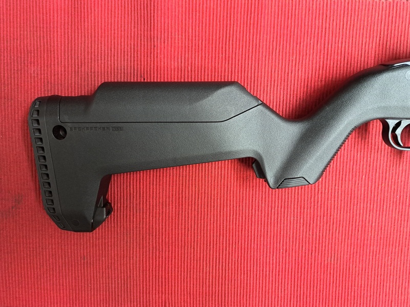 Ruger CUSTOM TAKE DOWN 22 Semi-Auto .22  Rifles