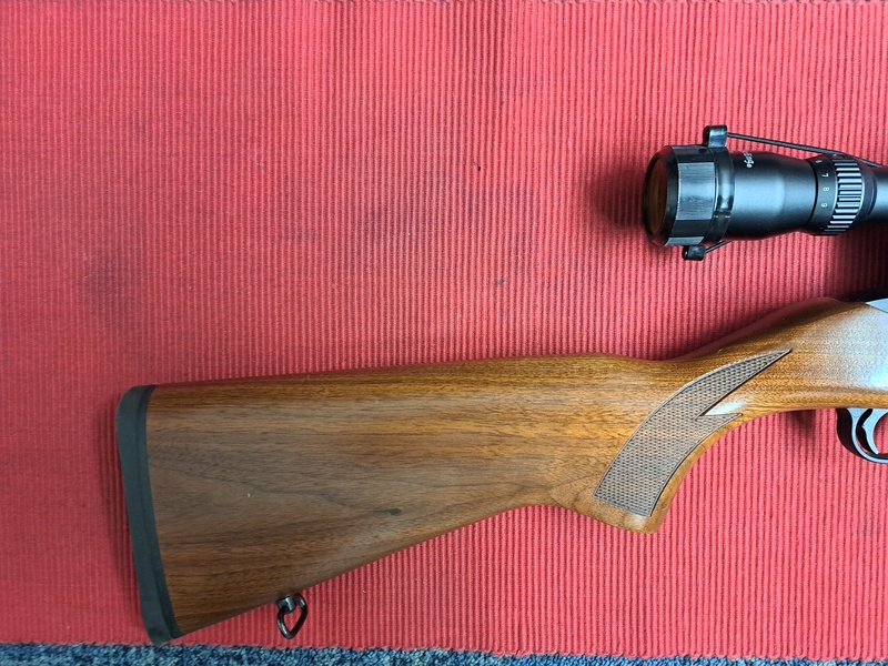 Ruger WALNUT DELUX Semi-Auto .22  Rifles