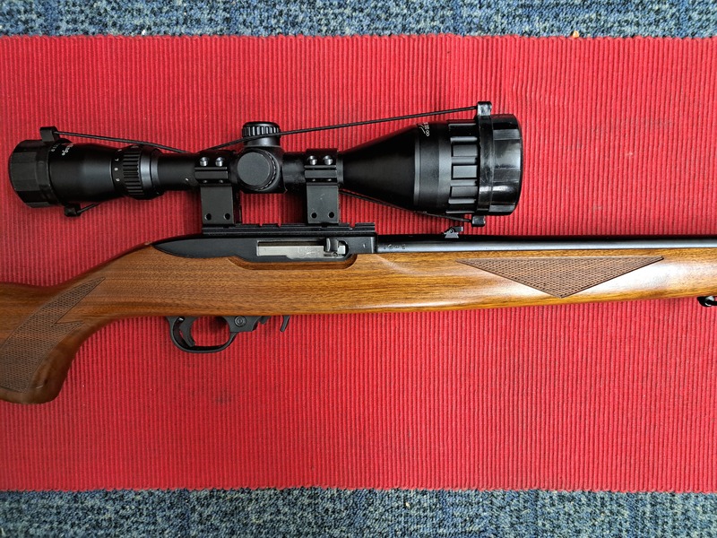 Ruger WALNUT DELUX Semi-Auto .22  Rifles
