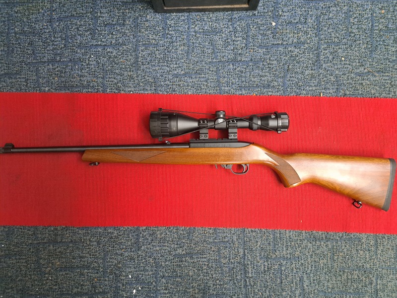 Ruger WALNUT DELUX Semi-Auto .22  Rifles