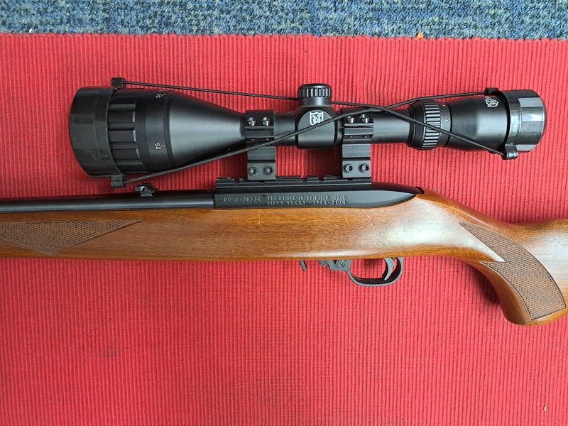 Ruger WALNUT DELUX Semi-Auto .22  Rifles