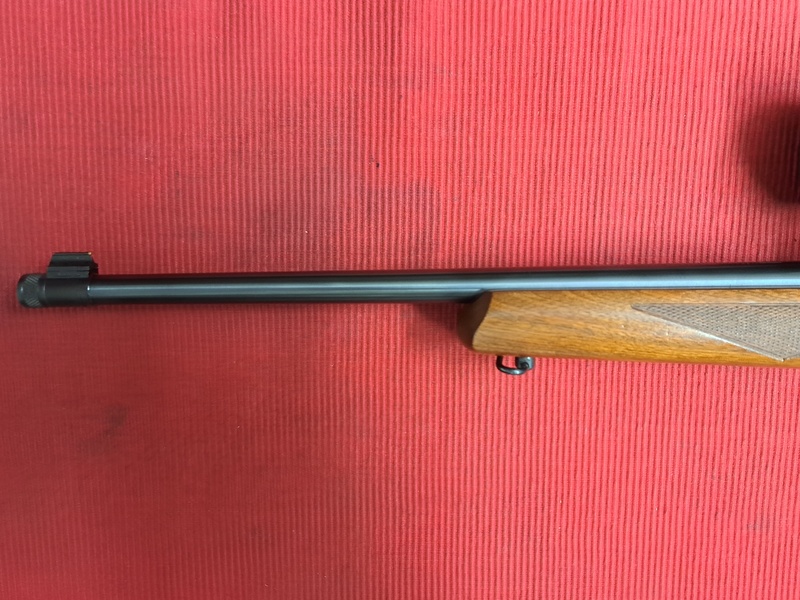 Ruger WALNUT DELUX Semi-Auto .22  Rifles