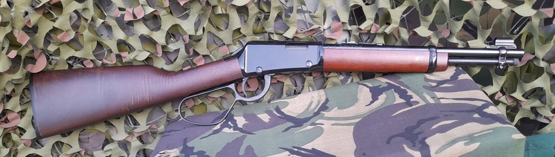 Henry Carbine  Lever action .22  Rifles