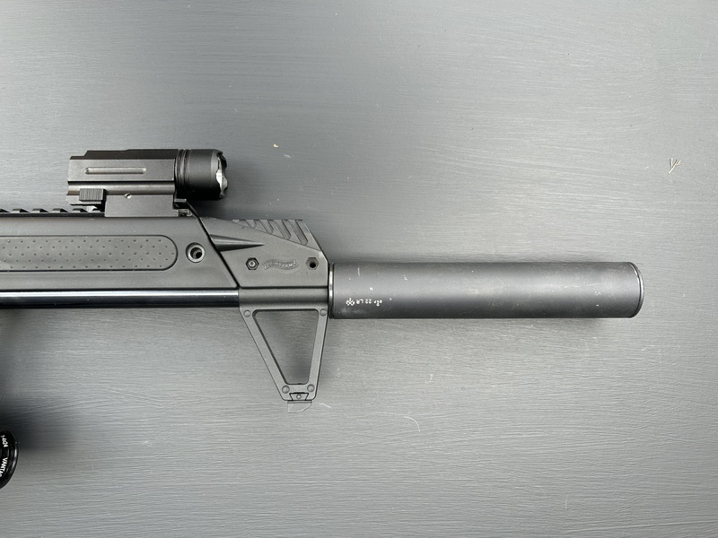 Walther G22 Semi-Auto .22 Rifles