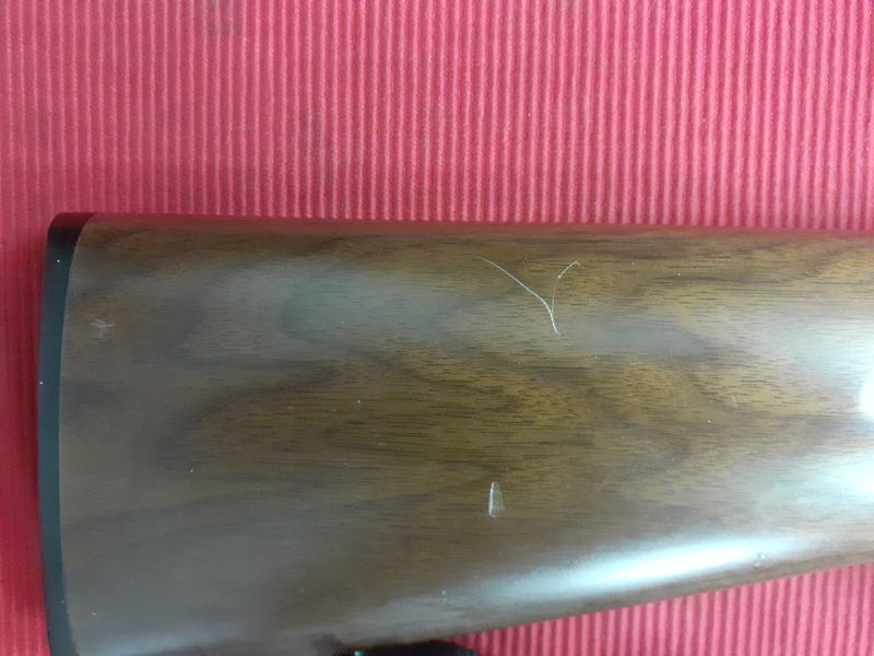 Browning T BOLT Bolt Action .22  Rifles