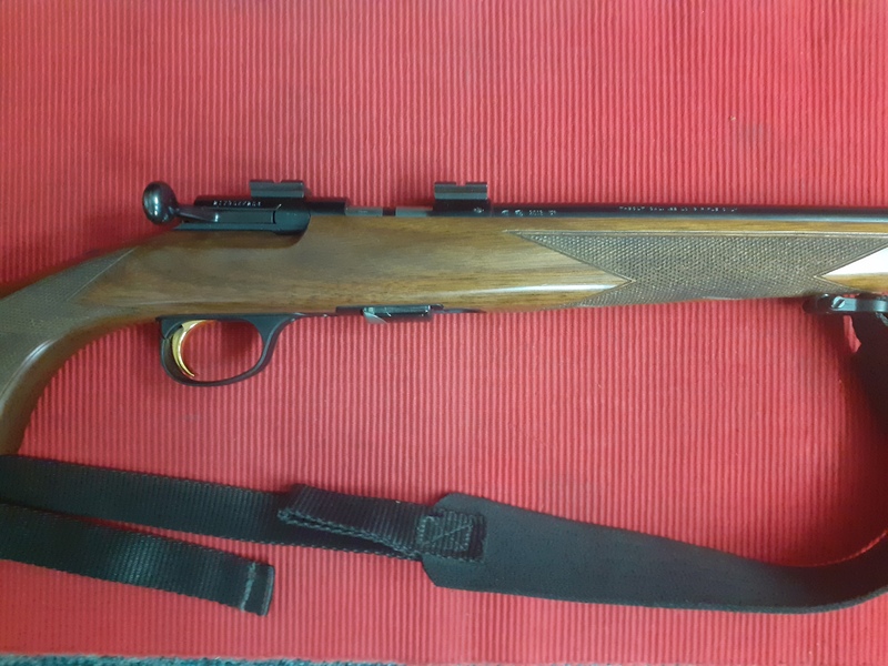Browning T BOLT Bolt Action .22  Rifles
