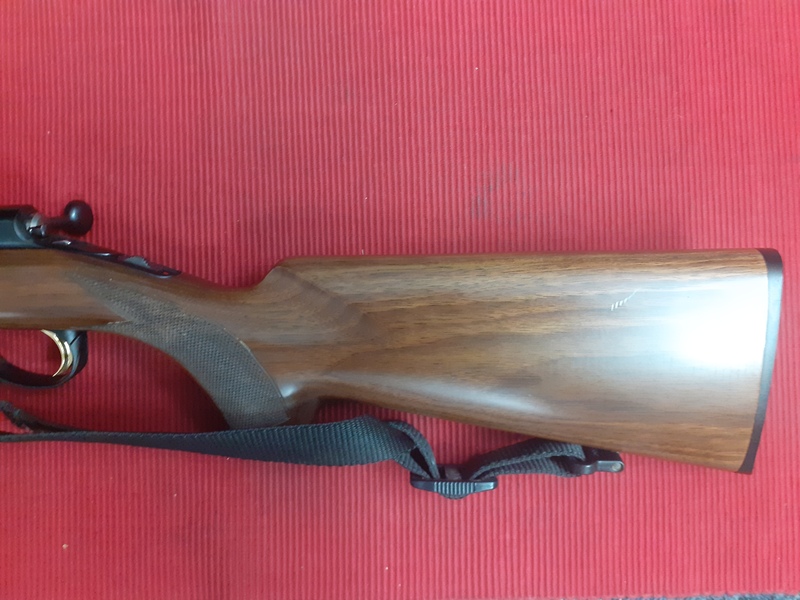 Browning T BOLT Bolt Action .22  Rifles