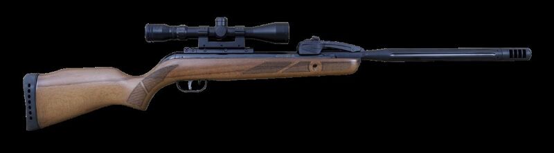GAMO Varmint Swarm .22  Air Rifles