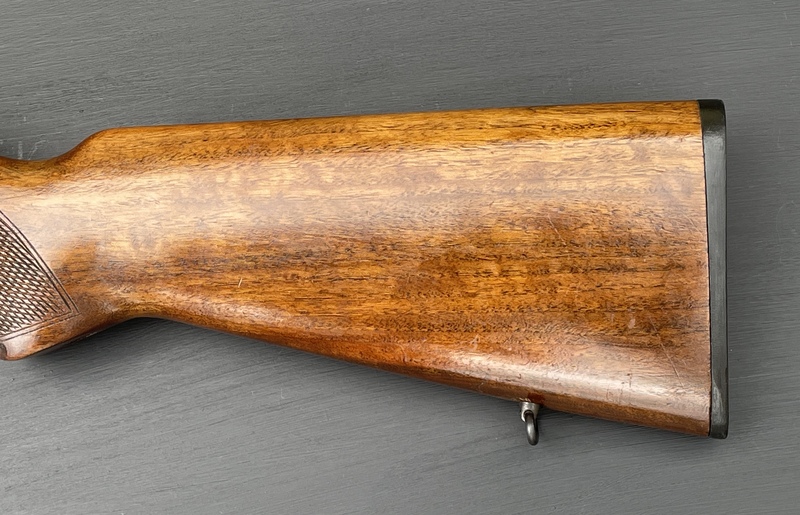 CZ BRNO 581 Semi-Auto .22 Rifles