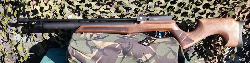 Reximex Lyra .22  Air Rifles
