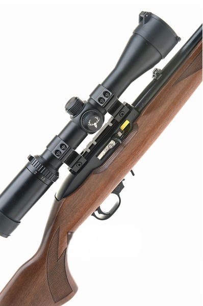 Ruger The RUGER rifle. 50years anniversary model. Semi-Auto .22 LR Rifles
