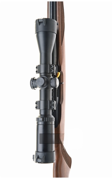 Ruger The RUGER rifle. 50years anniversary model. Semi-Auto .22 LR Rifles