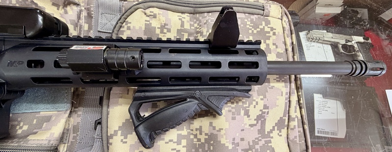 Smith and Wesson MP 15–22. Semi-Auto .22 Lr Rifles