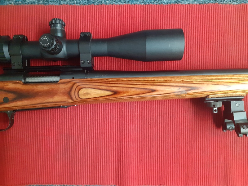 Remington 700 Bolt Action .308  Rifles