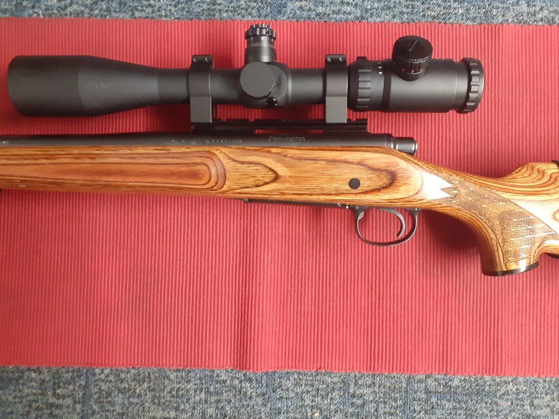 Remington 700 Bolt Action .308  Rifles