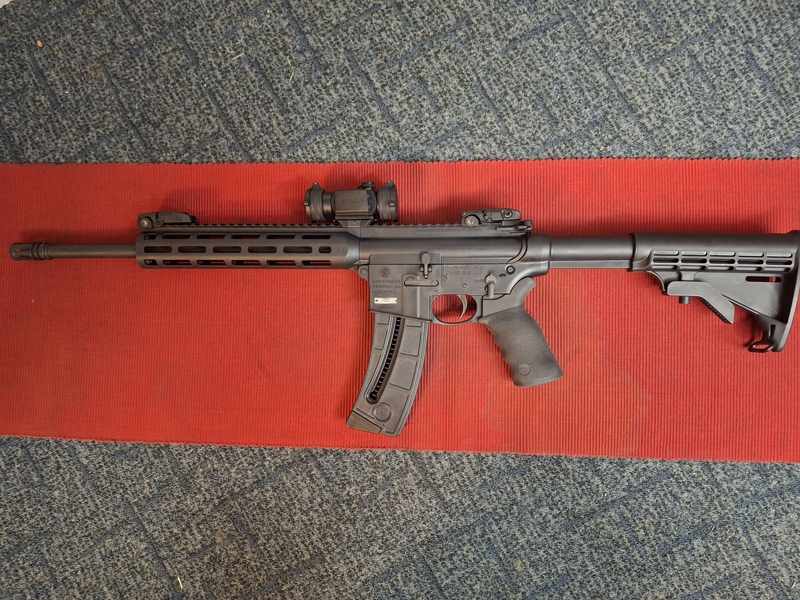 Smith & Wesson 15-22 SPORT Semi-Auto .22  Rifles
