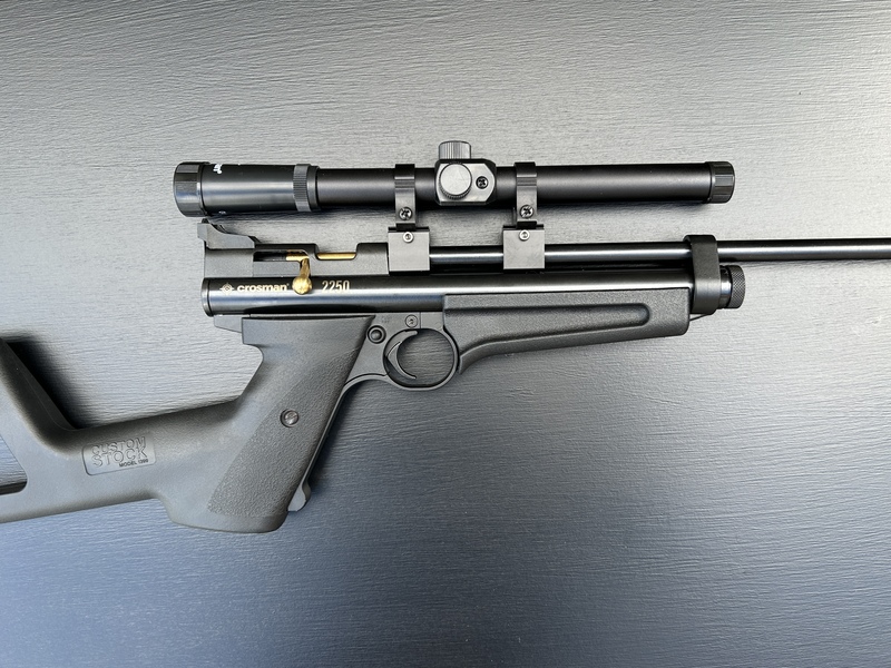 Crosman 2250 Ratcatcher .22 Air Rifles