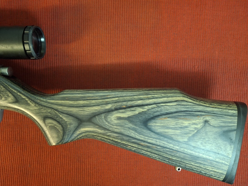Marlin 917 VS Bolt Action .17 .17 HMR Rifles