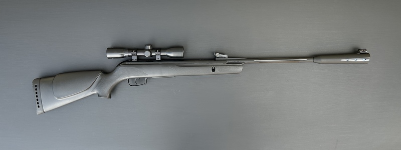 GAMO Whisper Sting .177  Air Rifles