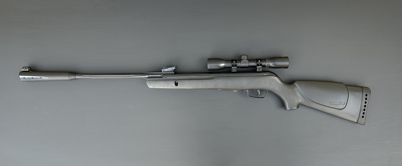 GAMO Whisper Sting .177 Air Rifles