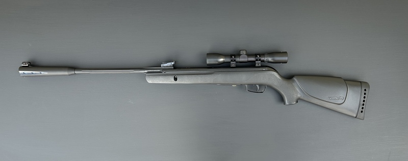 GAMO Whisper Sting .177 Air Rifles
